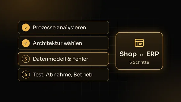 Illustration: ERP-Anbindung des Online-Shops in Projektschritten von der Prozessanalyse bis zum Betrieb