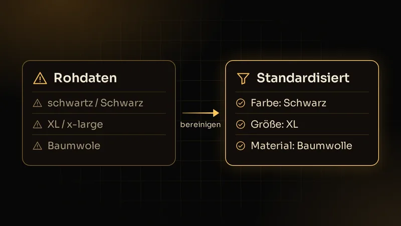 Illustration: Uneinheitliche Schreibweisen in Rohdaten werden zu einheitlichen Attributwerten für Filter bereinigt