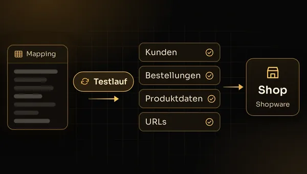 Illustration: Mapping von Kunden, Bestellungen, Produktdaten und URLs mit Testlauf in den neuen Shopware-Shop