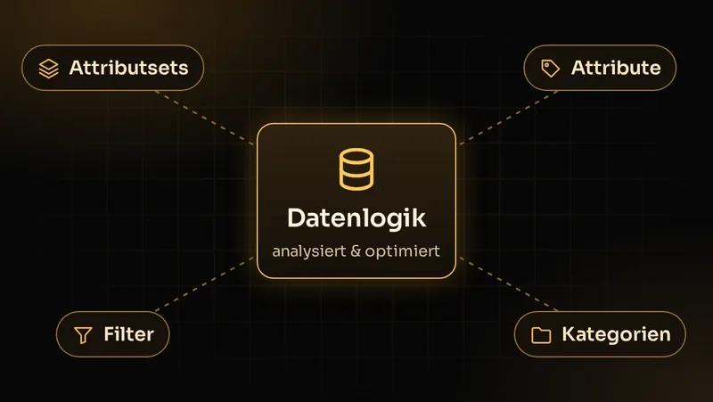 Illustration: Bestehende Attributsets, Attribute, Filter und Kategorien eines Shops werden analysiert und optimiert