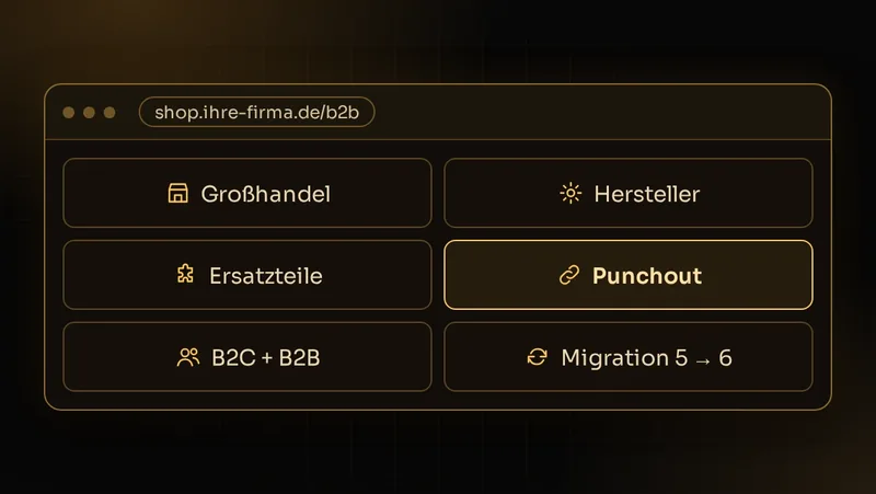 Illustration: B2B-Shop mit typischen Projektarten wie Großhandel, Hersteller, Ersatzteile, Punchout und Migration
