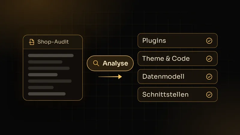 Illustration: Audit des bestehenden Shops prüft Plugins, Theme und Code, Datenmodell und Schnittstellen