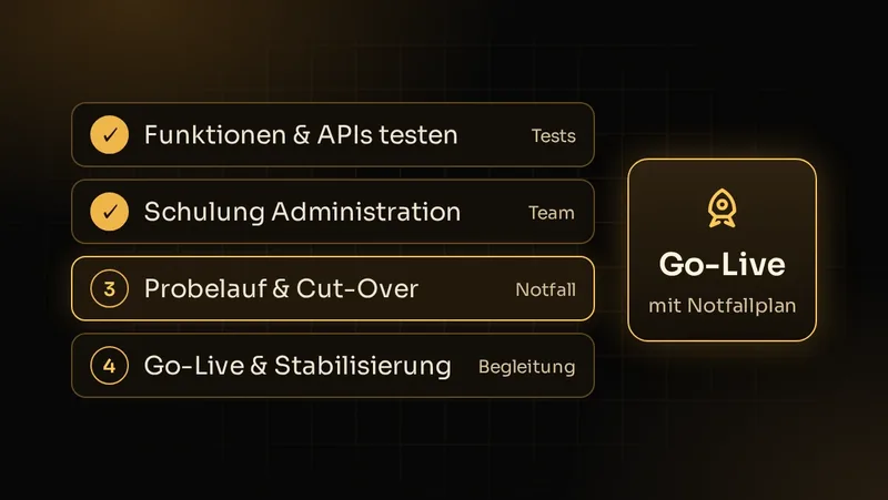 Illustration: Tests, Schulung, Probedurchlauf mit Cut-Over und Go-Live mit Stabilisierungsphase