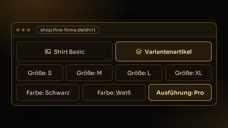 Illustration: Ein Shirt wird als Variantenartikel erkannt, Größe, Farbe und Ausführung werden als Attribute zugeordnet