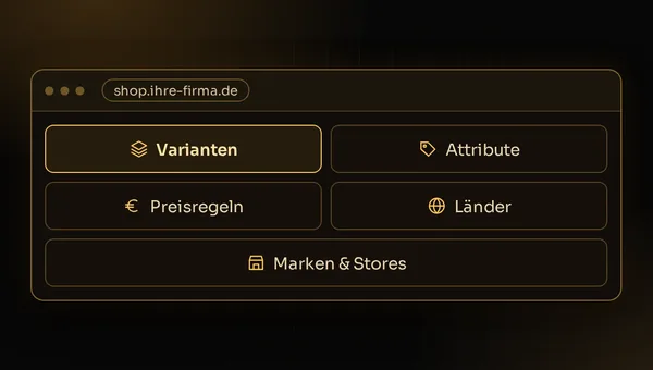 Illustration: Sortiment im Shop mit Varianten, Attributen, Preisregeln, Ländern und Marken als Entscheidungsgrundlage