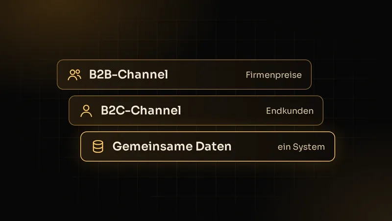 Illustration: B2B- und B2C-Sales-Channel in Shopware auf einer gemeinsamen Datenbasis