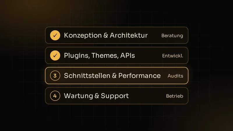 Illustration: Rollen im Shopware-Projekt von Konzeption über Entwicklung und Schnittstellen bis Wartung und Support
