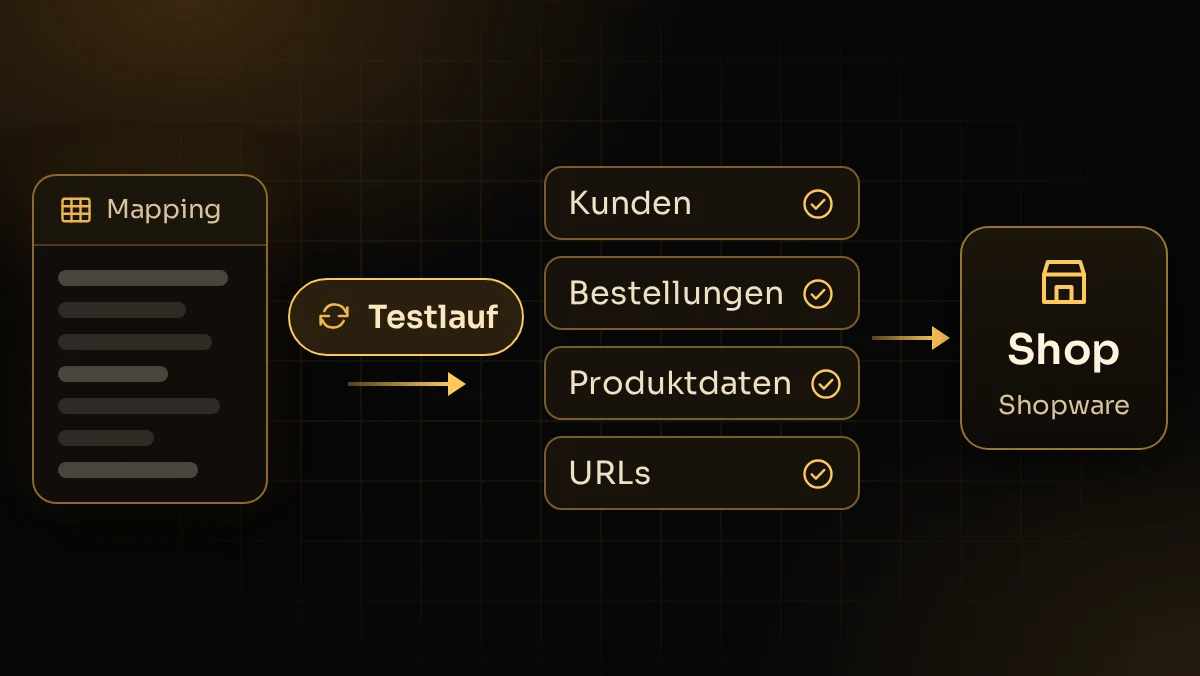 Illustration: Mapping von Kunden, Bestellungen, Produktdaten und URLs mit Testlauf in den neuen Shopware-Shop
